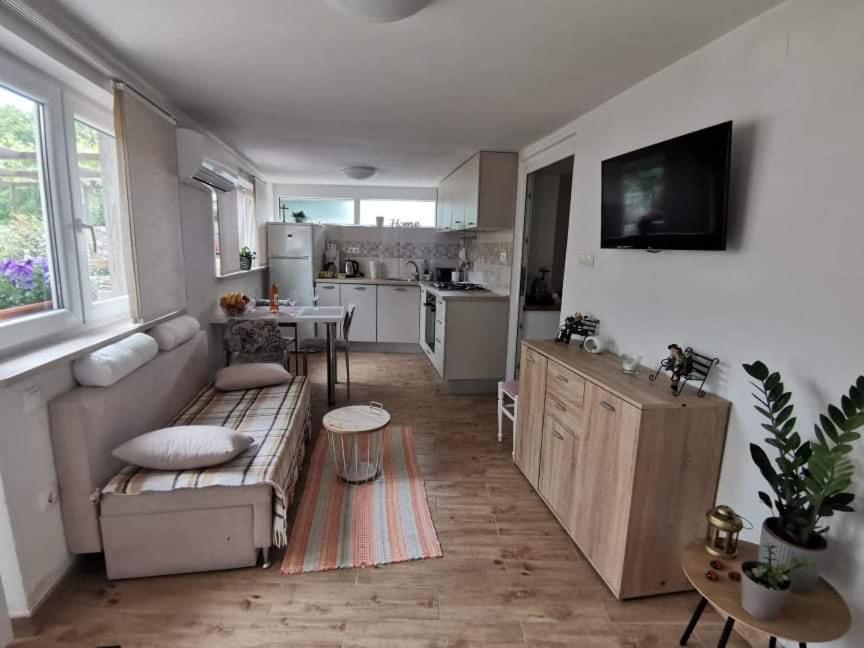 בריביר Apartman Ane - Bribir מראה חיצוני תמונה